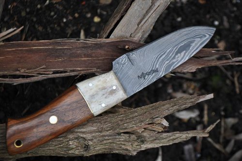 Damascus Hunting Knife with Burl Wood & Mammoth Handle - 4 Inches