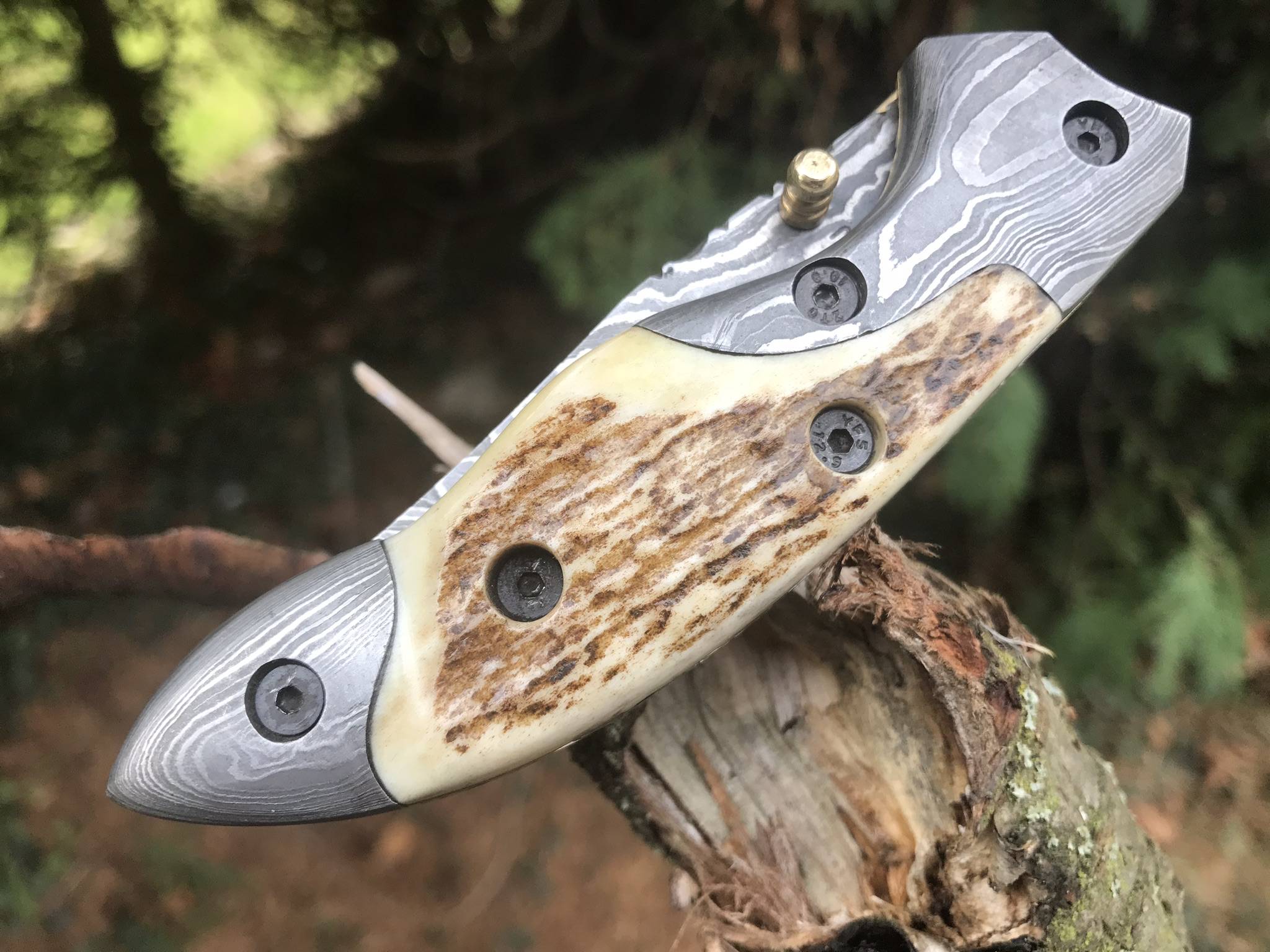 Handmade damascus steel pocket knife stag antler handle